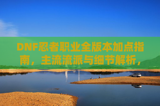 DNF忍者职业全版本加点指南,主流流派与细节解析,DNF忍者全版本加点指南,主流流派与细节解析