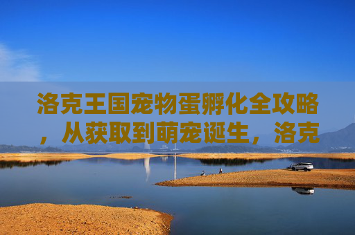 洛克王国宠物蛋孵化全攻略，从获取到萌宠诞生，洛克王国宠物蛋孵化全攻略，从获取到萌宠诞生