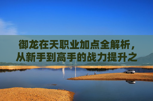 御龙在天职业加点全解析,从新手到高手的战力提升之路,御龙在天职业加点全解析,从新手到高手的战力提升之路