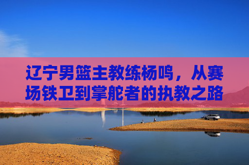 辽宁男篮主教练杨鸣，从赛场铁卫到掌舵者的执教之路，杨鸣，从赛场铁卫到辽宁男篮掌舵者的执教路