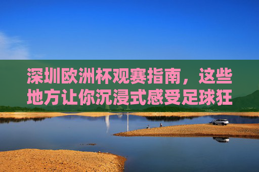 深圳欧洲杯观赛指南,这些地方让你沉浸式感受足球狂欢!深圳欧洲杯沉浸式观赛指南,畅享足球狂欢