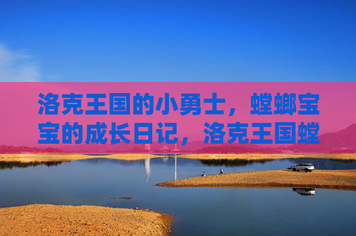 洛克王国的小勇士，螳螂宝宝的成长日记，洛克王国螳螂宝宝小勇士成长记