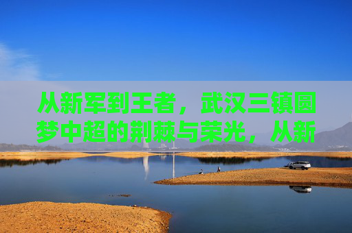 从新军到王者,武汉三镇圆梦中超的荆棘与荣光,从新军到王者,武汉三镇圆梦中超的荆棘荣光