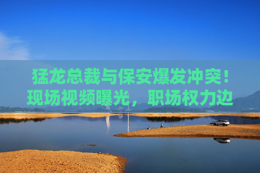 猛龙总裁与保安爆发冲突!现场视频曝光,职场权力边界引热议,猛龙总裁与保安冲突视频曝光引职场权力边界热议