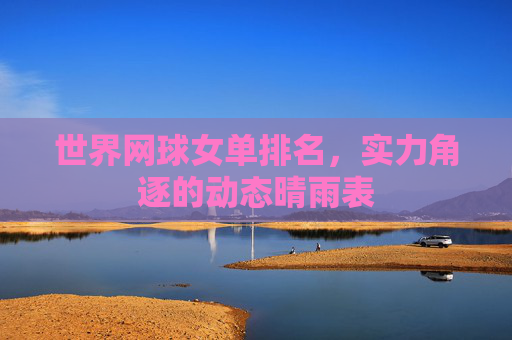 世界网球女单排名,实力角逐的动态晴雨表