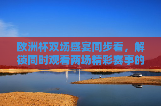 欧洲杯双场盛宴同步看，解锁同时观看两场精彩赛事的N种姿势，欧洲杯双场同步看，解锁同时观赛N种姿势