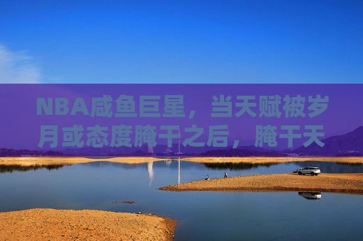 NBA咸鱼巨星,当天赋被岁月或态度腌干之后,腌干天赋,NBA咸鱼巨星的陨落