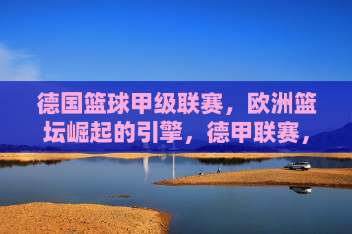 德国篮球甲级联赛，欧洲篮坛崛起的引擎，德甲联赛，欧洲篮坛崛起的引擎