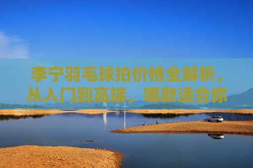 李宁羽毛球拍价格全解析，从入门到高端，哪款适合你？李宁羽毛球拍价格全解析，从入门到高端，哪款适合你？