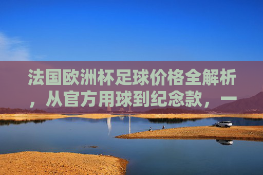 法国欧洲杯足球价格全解析，从官方用球到纪念款，一文看懂花费，法国欧洲杯足球价格全解析，从官方用球到纪念款