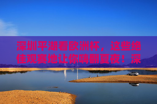 深圳平湖看欧洲杯，这些绝佳观赛地让你嗨翻夏夜！深圳平湖欧洲杯观赛地，嗨翻夏夜的绝佳选择