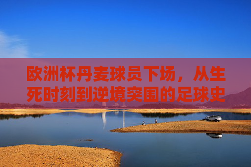 欧洲杯丹麦球员下场,从生死时刻到逆境突围的足球史诗,丹麦欧洲杯史诗,生死时刻的逆境突围