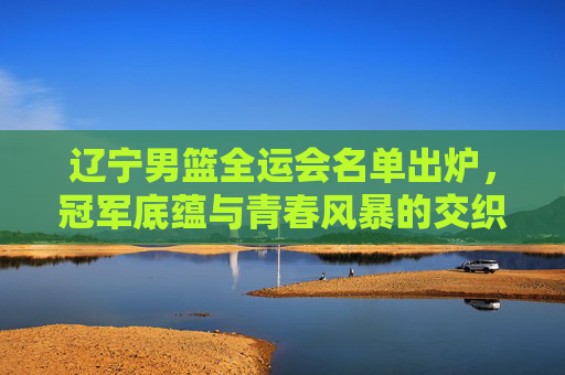 辽宁男篮全运会名单出炉,冠军底蕴与青春风暴的交织,辽宁男篮全运会名单,冠军底蕴交织青春风暴