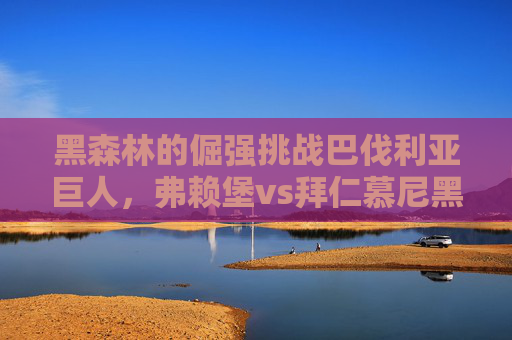 黑森林的倔强挑战巴伐利亚巨人,弗赖堡vs拜仁慕尼黑,一场强弱对话的德甲缩影,黑森林倔强挑战巴伐利亚巨人,德甲强弱对话缩影