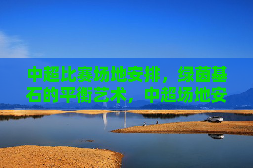 中超比赛场地安排,绿茵基石的平衡艺术,中超场地安排,绿茵基石的平衡艺术