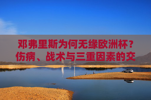 邓弗里斯为何无缘欧洲杯？伤病、战术与三重因素的交织，邓弗里斯无缘欧洲杯，伤病、战术与多重因素交织