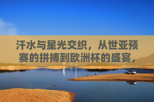 汗水与星光交织，从世亚预赛的拼搏到欧洲杯的盛宴，汗水与星光交织，世亚预赛拼搏到欧洲杯盛宴
