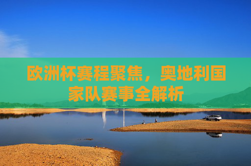 欧洲杯赛程聚焦,奥地利国家队赛事全解析