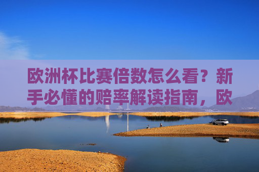欧洲杯比赛倍数怎么看?新手必懂的赔率解读指南,欧洲杯赔率解读指南,新手必看倍数怎么看