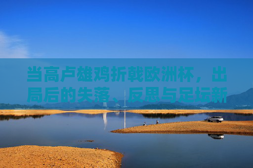 当高卢雄鸡折戟欧洲杯,出局后的失落、反思与足坛新变局,高卢雄鸡欧洲杯折戟,失落、反思与足坛新变局