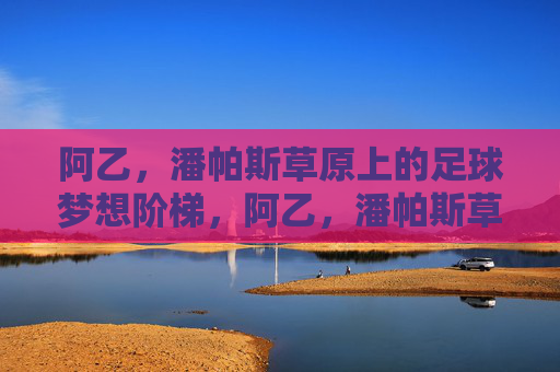 阿乙，潘帕斯草原上的足球梦想阶梯，阿乙，潘帕斯草原的足球梦想阶梯
