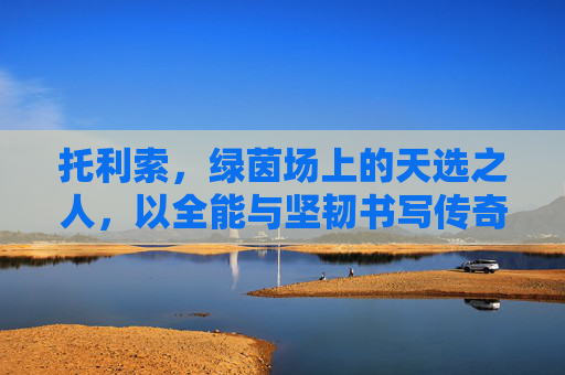 托利索，绿茵场上的天选之人，以全能与坚韧书写传奇，托利索，绿茵天选，全能铸就传奇