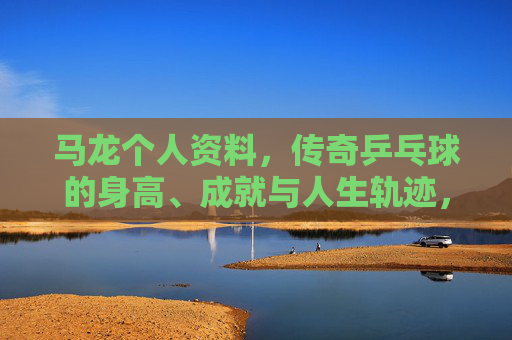 马龙个人资料,传奇乒乓球的身高、成就与人生轨迹,马龙,传奇乒乓球的身高、成就与人生轨迹