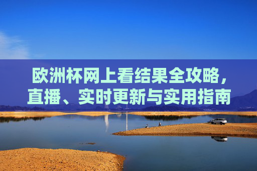 欧洲杯网上看结果全攻略，直播、实时更新与实用指南，欧洲杯网上看结果全攻略