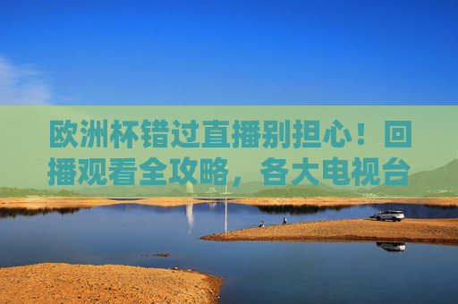 欧洲杯错过直播别担心！回播观看全攻略，各大电视台及平台汇总，欧洲杯错过直播别担心！回播观看全攻略及各大电视台平台汇总