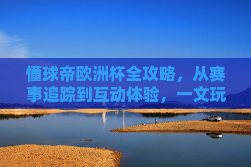 懂球帝欧洲杯全攻略,从赛事追踪到互动体验,一文玩转你的观赛之旅,懂球帝欧洲杯全攻略,一文玩转赛事追踪与互动体验