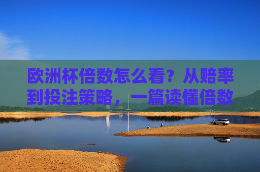 欧洲杯倍数怎么看?从赔率到投注策略,一篇读懂倍数背后的门道,欧洲杯倍数,从赔率到投注策略,读懂倍数背后的门道