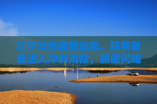 辽宁女排最新动态,联赛备战进入冲刺阶段,新星闪耀与老将坚守并存
