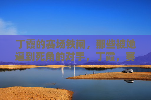丁霞的赛场铁闸,那些被她逼到死角的对手,丁霞,赛场铁闸,逼敌至死角