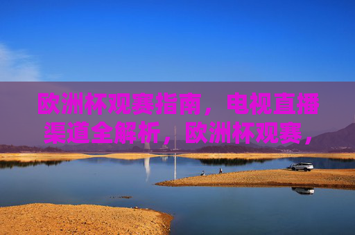 欧洲杯观赛指南，电视直播渠道全解析，欧洲杯观赛，电视直播渠道全解析
