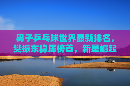 男子乒乓球世界最新排名,樊振东稳居榜首,新星崛起重塑格局,男子乒乓球最新排名,樊振东稳居榜首,新星崛起重塑格局