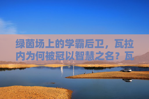 绿茵场上的学霸后卫，瓦拉内为何被冠以智慧之名？瓦拉内，绿茵场上的智慧后卫