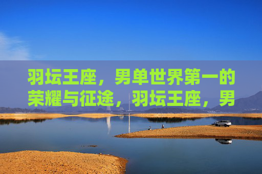 羽坛王座，男单世界第一的荣耀与征途，羽坛王座，男单世界第一的荣耀征途