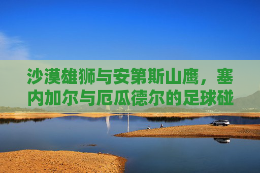 沙漠雄狮与安第斯山鹰,塞内加尔与厄瓜德尔的足球碰撞,沙漠雄狮vs安第斯山鹰,塞内加尔与厄瓜多尔足球碰撞