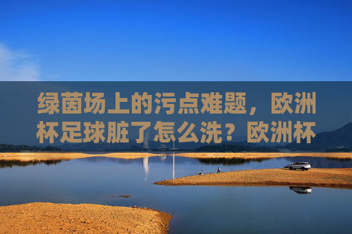 绿茵场上的污点难题,欧洲杯足球脏了怎么洗?欧洲杯足球污点难题,绿茵场之困如何洗?