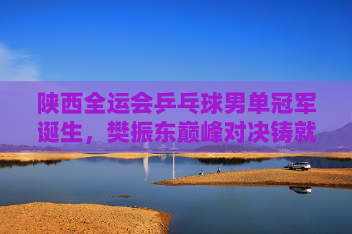 陕西全运会乒乓球男单冠军诞生，樊振东巅峰对决铸就辉煌，陕西全运会乒乓球男单，樊振东巅峰对决铸就辉煌