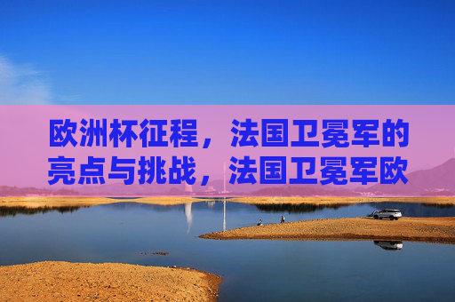 欧洲杯征程，法国卫冕军的亮点与挑战，法国卫冕军欧洲杯征程，亮点与挑战