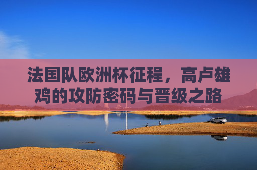 法国队欧洲杯征程,高卢雄鸡的攻防密码与晋级之路
