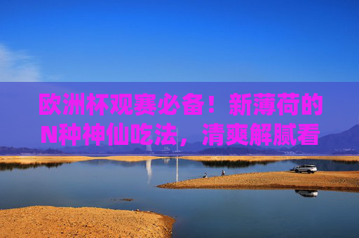 欧洲杯观赛必备！新薄荷的N种神仙吃法，清爽解腻看球不犯困，欧洲杯看球必备，新薄荷神仙吃法，清爽解腻不犯困