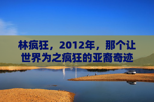 林疯狂,2012年,那个让世界为之疯狂的亚裔奇迹