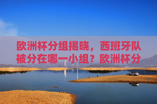 欧洲杯分组揭晓，西班牙队被分在哪一小组？欧洲杯分组揭晓，西班牙队分在哪一小组？