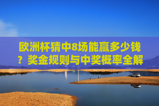 欧洲杯猜中8场能赢多少钱?奖金规则与中奖概率全解析,欧洲杯猜中8场奖金规则与中奖概率全解析