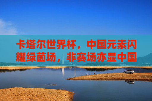 卡塔尔世界杯,中国元素闪耀绿茵场,非赛场亦显中国力量,卡塔尔世界杯非赛场,中国元素闪耀,中国力量尽显