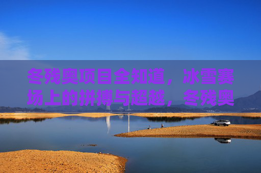 冬残奥项目全知道，冰雪赛场上的拼搏与超越，冬残奥赛场，拼搏与超越的冰雪征程