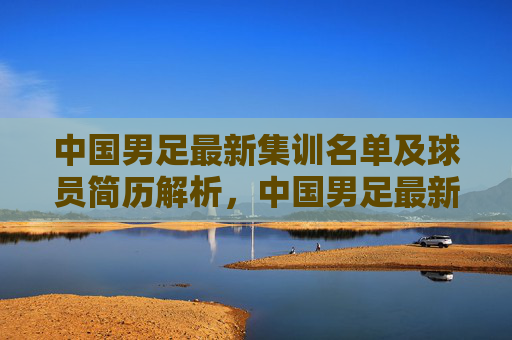 中国男足最新集训名单及球员简历解析,中国男足最新集训名单及球员简历解析