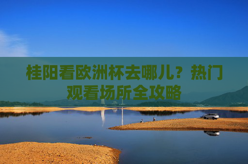 桂阳看欧洲杯去哪儿?热门观看场所全攻略